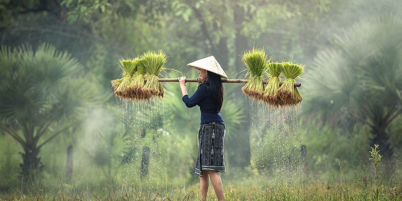 Entdecke die Schönheit Vietnams: Eine unvergessliche Vietnam Rundreise