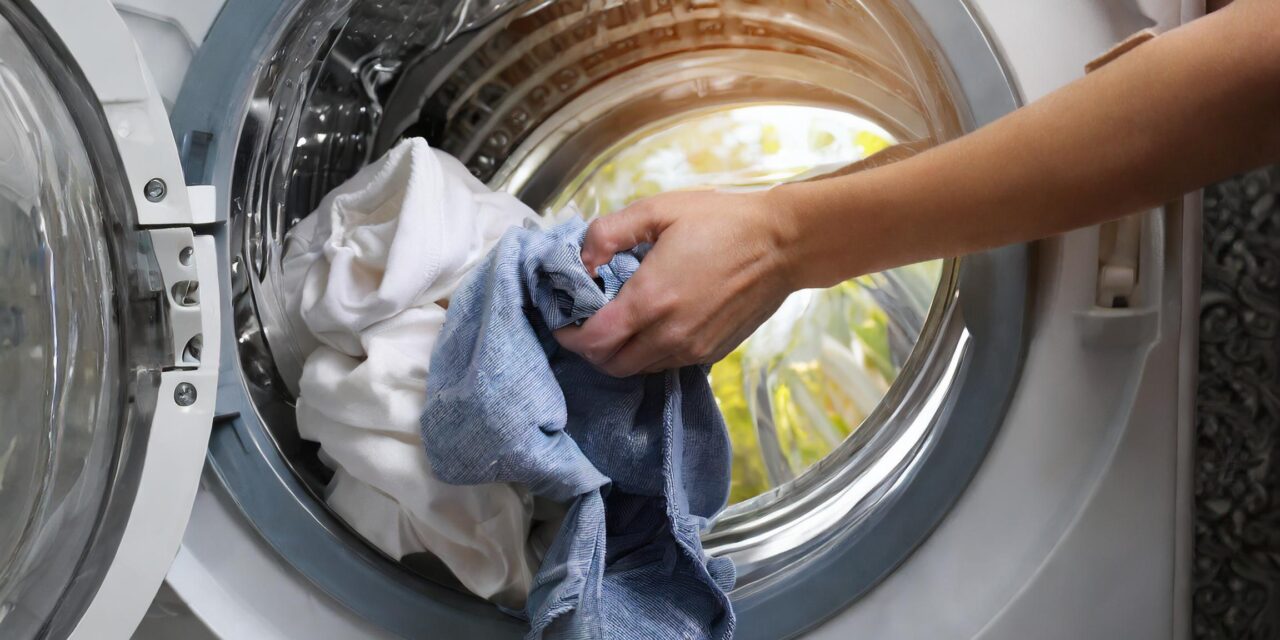 Die Revolution der Wäschepflege: Nachhaltigkeit mit Waschnüssen von Naturhaus