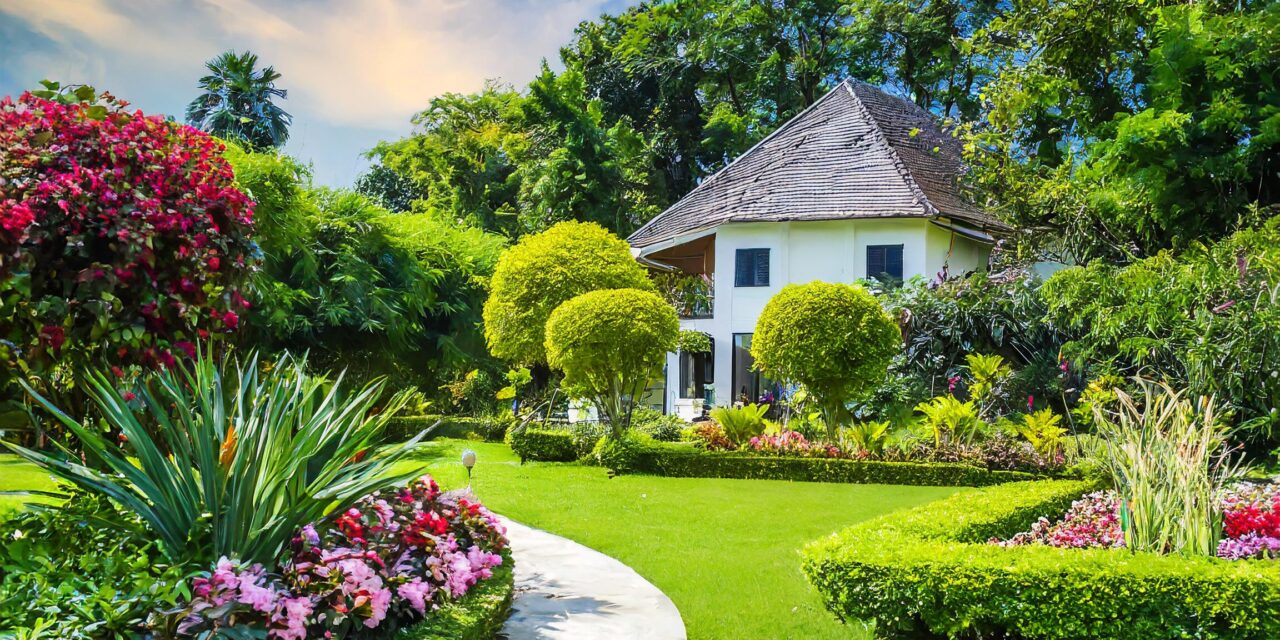 Ratgeber Haus & Garten: Praktische Tipps für ein schönes Zuhause und einen blühenden Garten